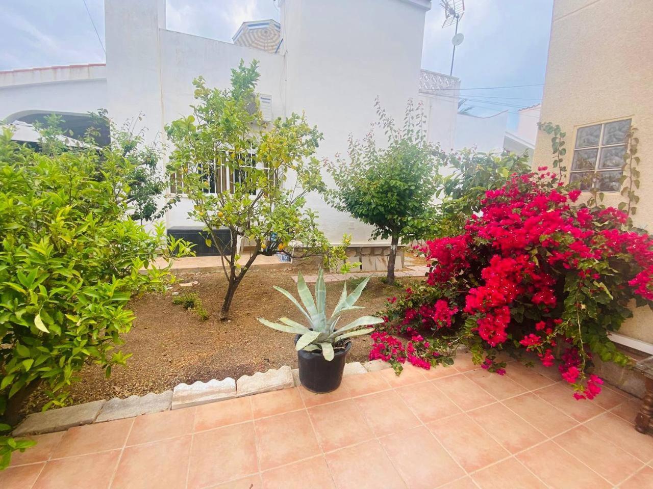 Villa Sunset Orihuela Costa Dış mekan fotoğraf